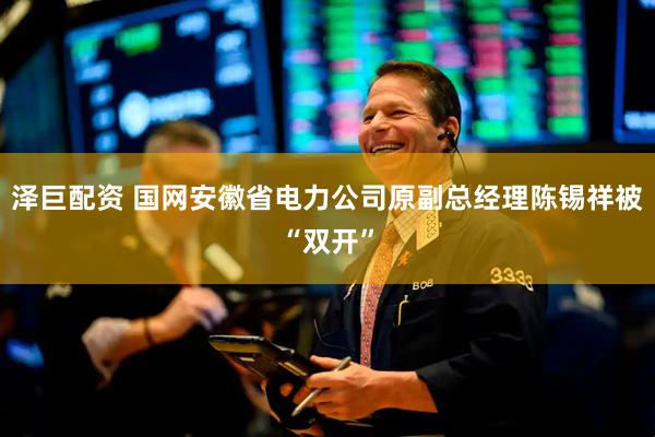 泽巨配资 国网安徽省电力公司原副总经理陈锡祥被“双开”