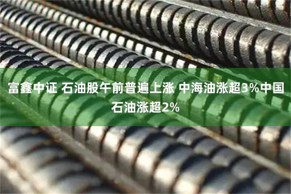 富鑫中证 石油股午前普遍上涨 中海油涨超3%中国石油涨超2%