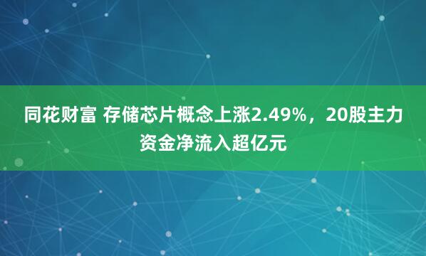 同花财富 存储芯片概念上涨2.49%，20股主力资金净流入超亿元