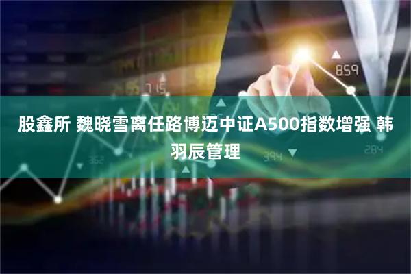 股鑫所 魏晓雪离任路博迈中证A500指数增强 韩羽辰管理