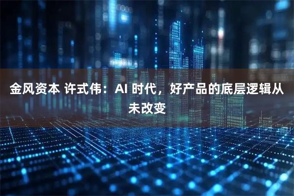 金风资本 许式伟：AI 时代，好产品的底层逻辑从未改变