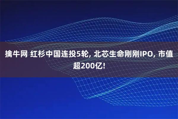 擒牛网 红杉中国连投5轮, 北芯生命刚刚IPO, 市值超200亿!