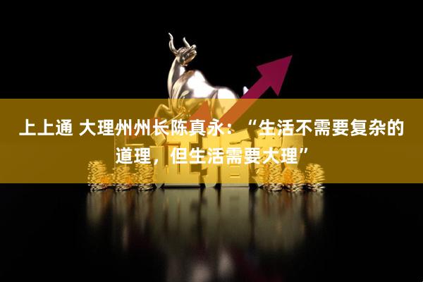 上上通 大理州州长陈真永：“生活不需要复杂的道理，但生活需要大理”