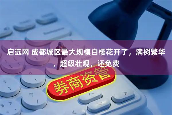 启远网 成都城区最大规模白樱花开了,满树繁华,超级壮观,还免费