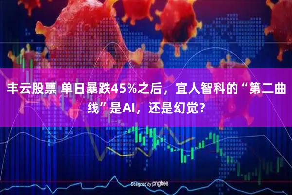 丰云股票 单日暴跌45%之后,宜人智科的“第二曲线”是AI,还是幻觉?