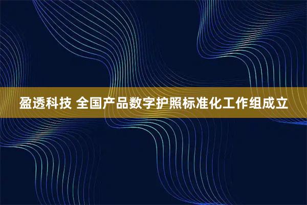盈透科技 全国产品数字护照标准化工作组成立