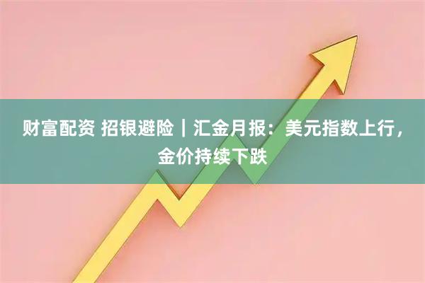 财富配资 招银避险｜汇金月报：美元指数上行，金价持续下跌