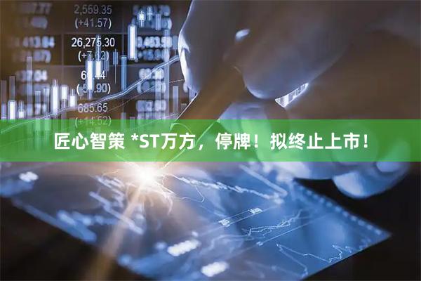 匠心智策 *ST万方，停牌！拟终止上市！