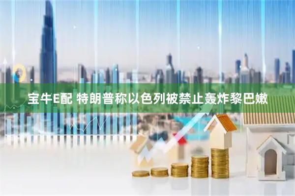 宝牛E配 特朗普称以色列被禁止轰炸黎巴嫩