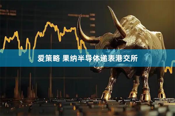 爱策略 果纳半导体递表港交所