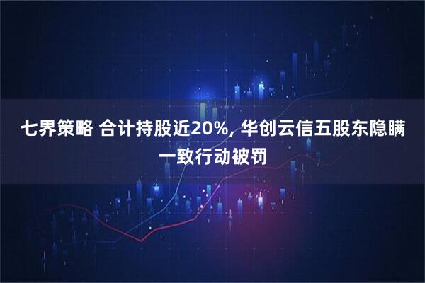 七界策略 合计持股近20%, 华创云信五股东隐瞒一致行动被罚