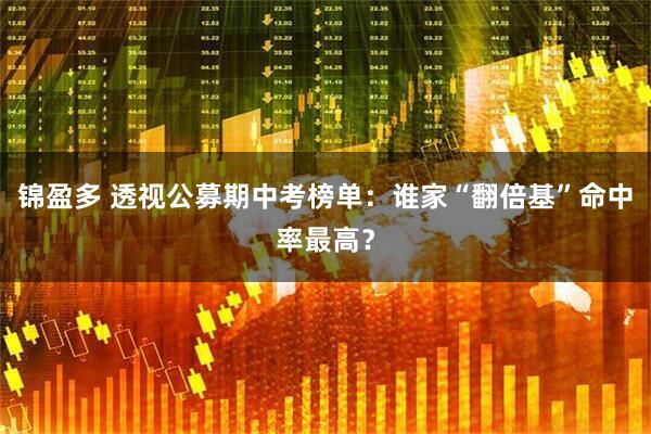 锦盈多 透视公募期中考榜单：谁家“翻倍基”命中率最高？